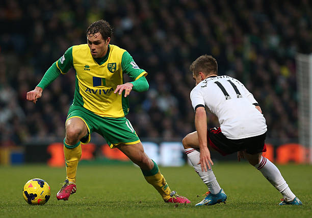 的成熟与老 的成熟与老